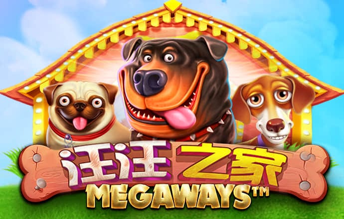 龙物网站永不失联